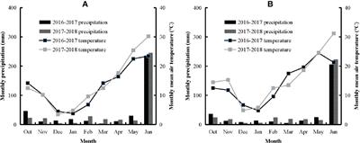 In-season assessment of agronomic nitrogen use efficiency and its components in winter wheat using critical nitrogen dilution curve